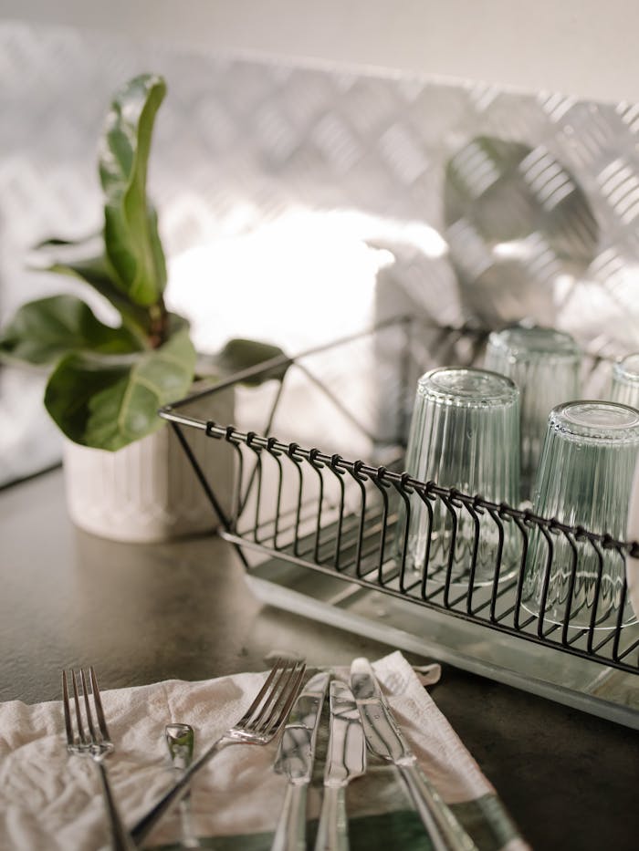 Elegant kitchen setting with a dish rack, glasses, utensils, and a plant.